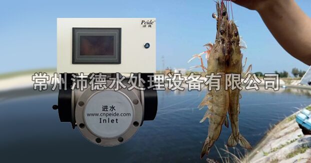 中压灯紫外线杀菌器以水质调控病害预防为切入点解决南美白对虾病害问题-上篇