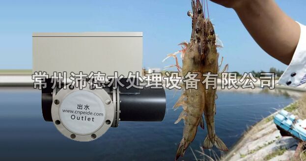 中压灯紫外线杀菌器以水质调控病害预防为切入点解决南美白对虾病害问题-下篇